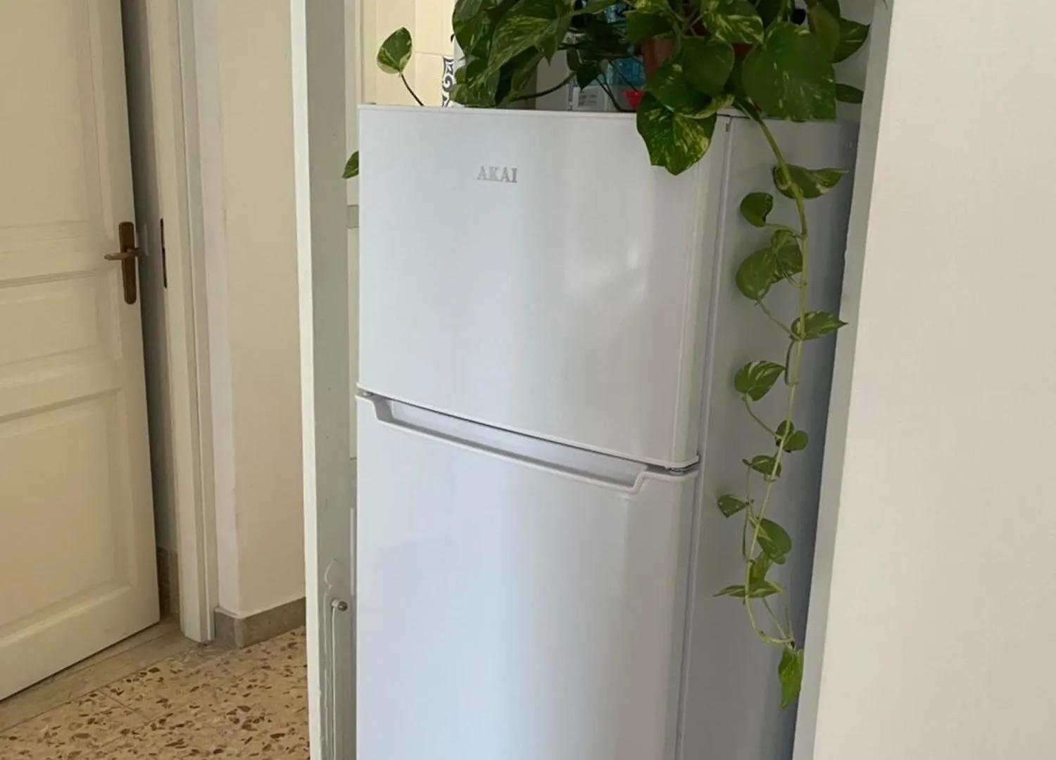 Lorenzo'S House Catania City Centre - Comfortable Large Apartment With 2 Bedrooms And 2 Baths, Close To Trains, Metro And Bus Station
